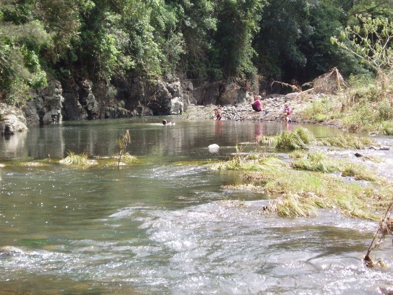 Lynchs Creek NSW 2474