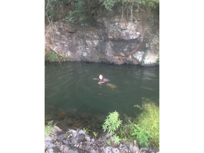 Lynchs Creek NSW 2474