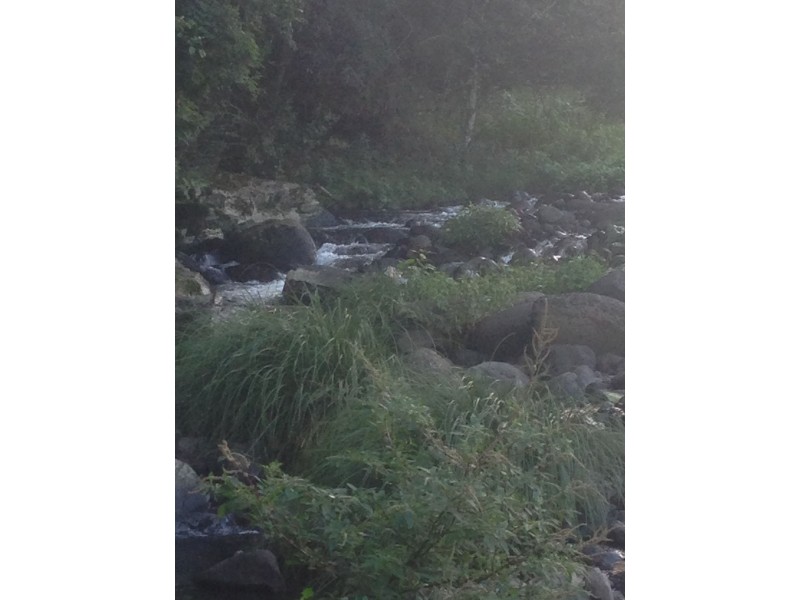 Lynchs Creek NSW 2474