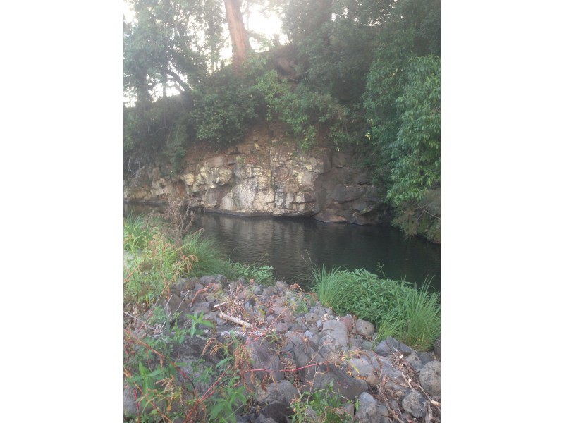 Lynchs Creek NSW 2474