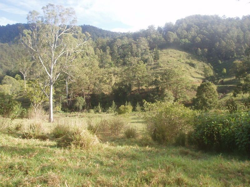 Lynchs Creek NSW 2474