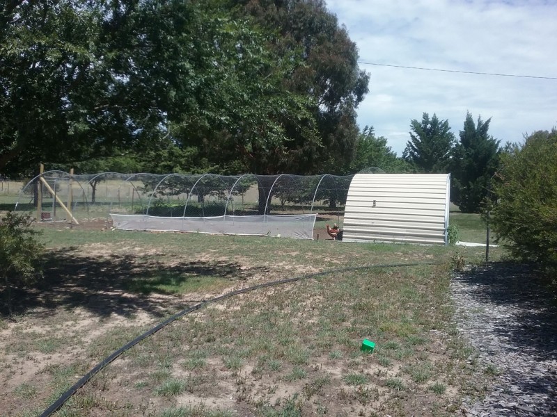 72 Victoria st, Sutton NSW 2620