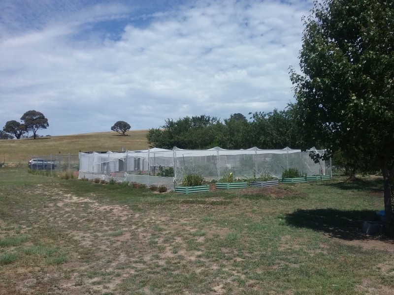 72 Victoria st, Sutton NSW 2620