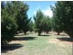 72 Victoria st, Sutton NSW 2620