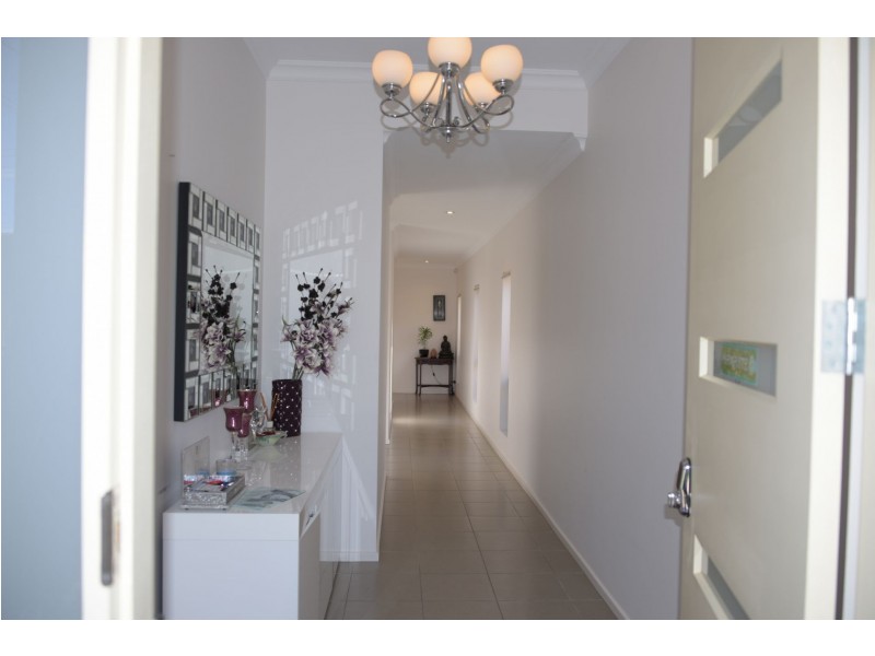 19 Willow Avenue, Manningham SA 5086