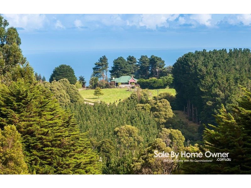 400 Amiets Road, Wyelangta VIC 3237