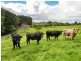 400 Amiets Road, Wyelangta VIC 3237