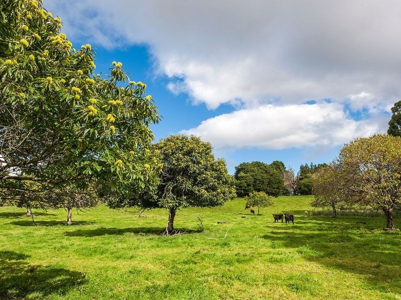400 Amiets Road, Wyelangta VIC 3237