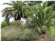 400 Amiets Road, Wyelangta VIC 3237