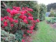 400 Amiets Road, Wyelangta VIC 3237