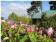400 Amiets Road, Wyelangta VIC 3237