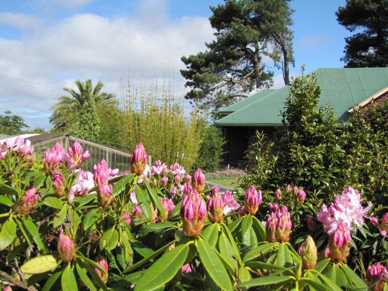 400 Amiets Road, Wyelangta VIC 3237