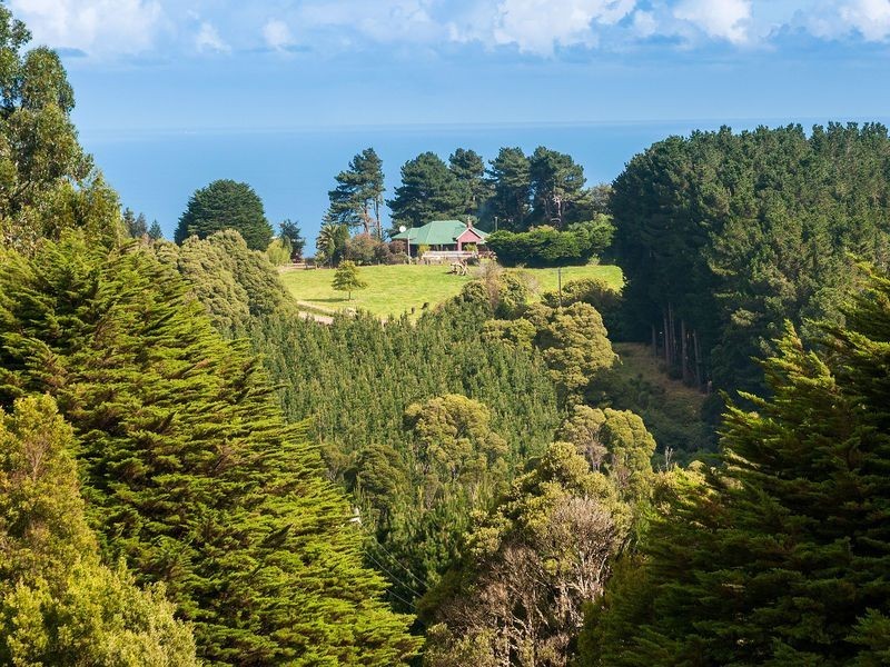 400 Amiets Road, Wyelangta VIC 3237