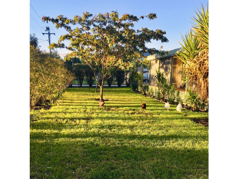 66-68 Nundle road, Woolomin NSW 2340