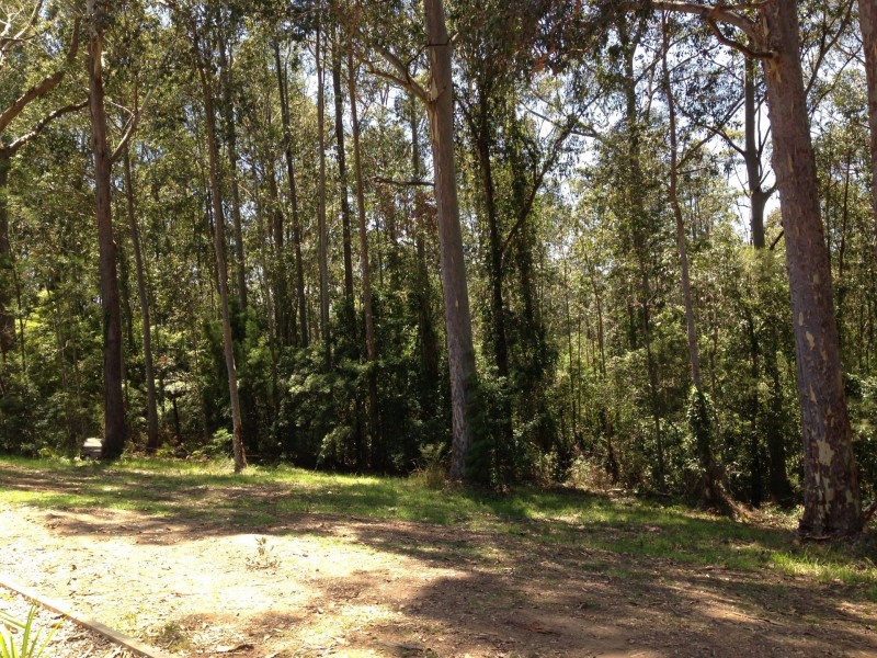 23 Catalina Drive, Catalina NSW 2536