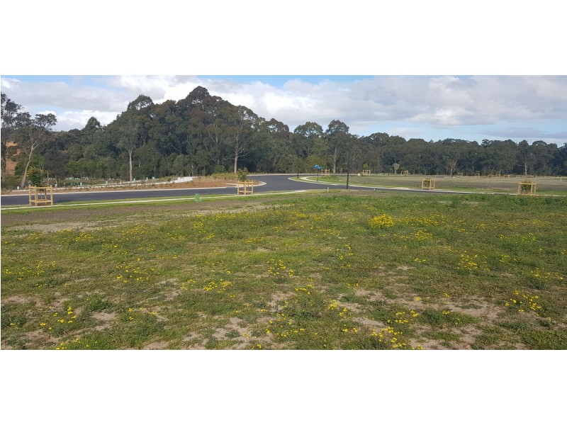 Lot 183 Hodges Street, Wyee NSW 2259