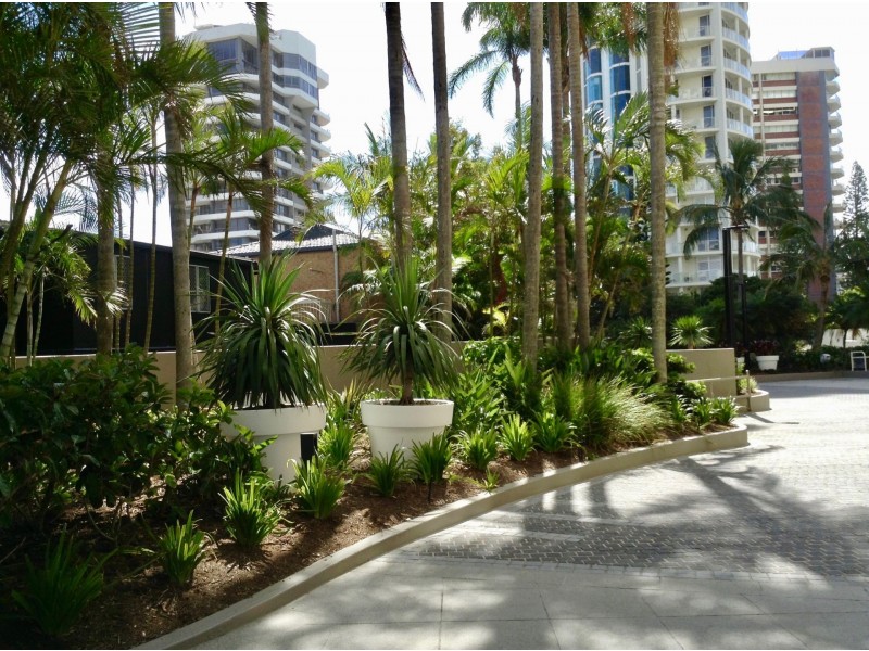 34/3 Cunningham Av, Main Beach QLD 4217