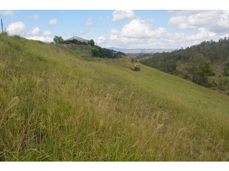 31 Alma Court, Villeneuve QLD 4514