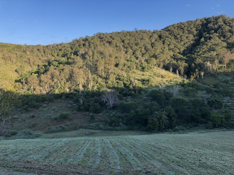 31 Alma Court, Villeneuve QLD 4514