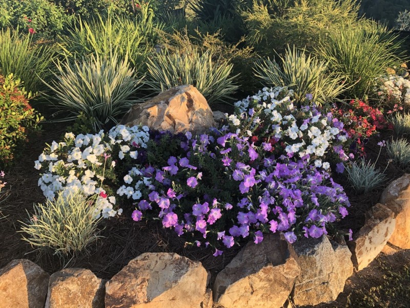 31 Alma Court, Villeneuve QLD 4514