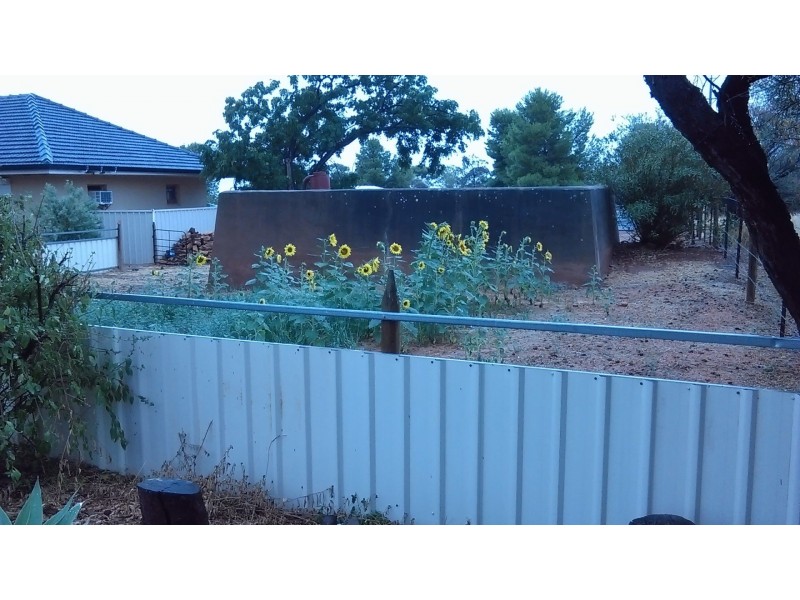 6/6 Oaks Rd, Napperby SA 5540