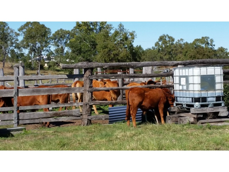 Delan QLD 4671