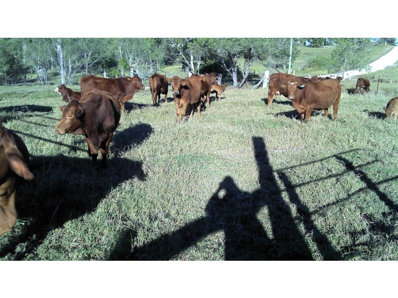 Delan QLD 4671