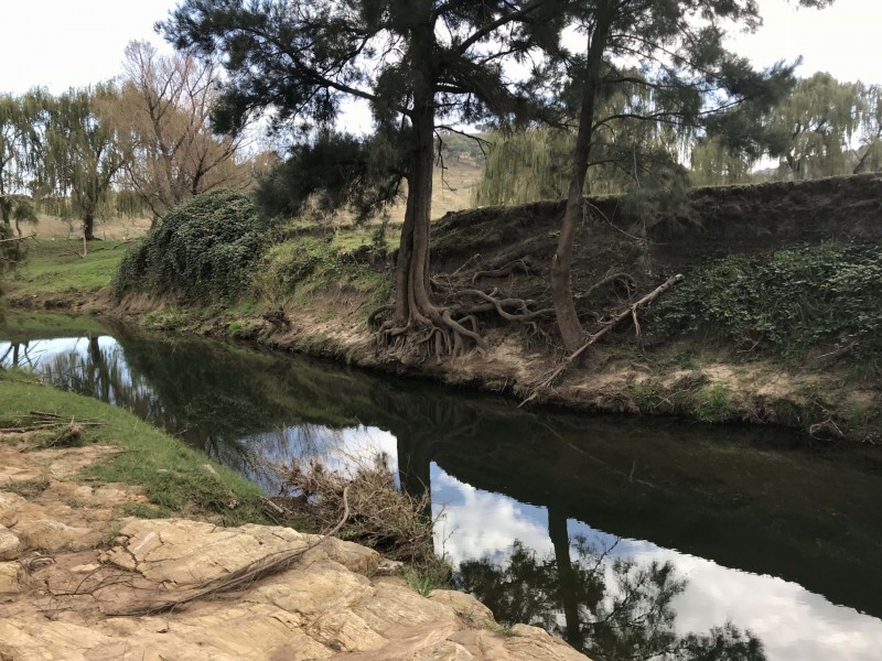 49 Fitzroy St, Bathurst NSW 2795