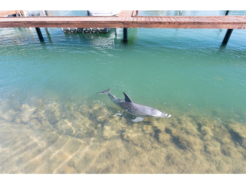 8//40 Rialto Place, Halls Head WA 6210