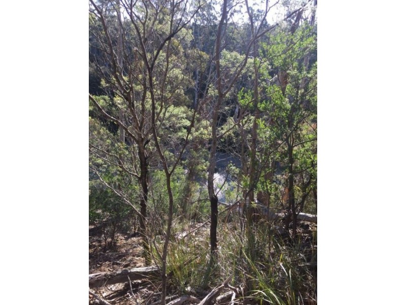 10503 Tasman Highway, Little Swanport TAS 7190