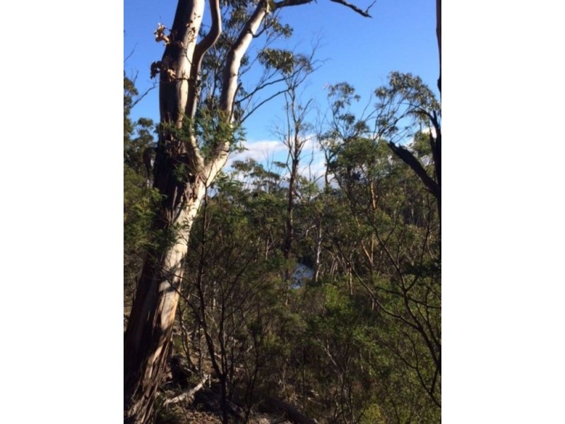 10503 Tasman Highway, Little Swanport TAS 7190