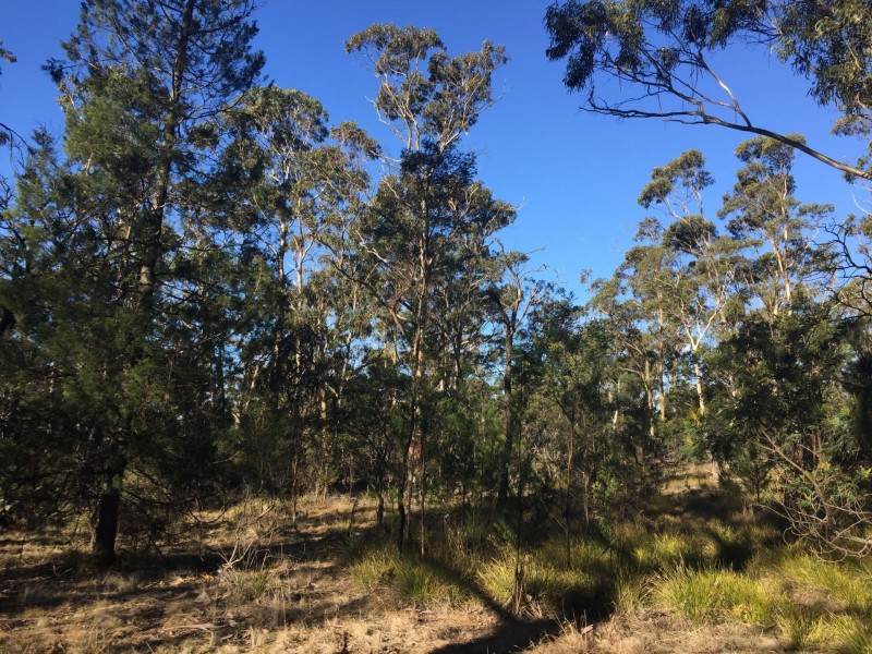 10503 Tasman Highway, Little Swanport TAS 7190