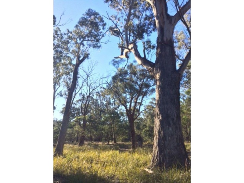 10503 Tasman Highway, Little Swanport TAS 7190