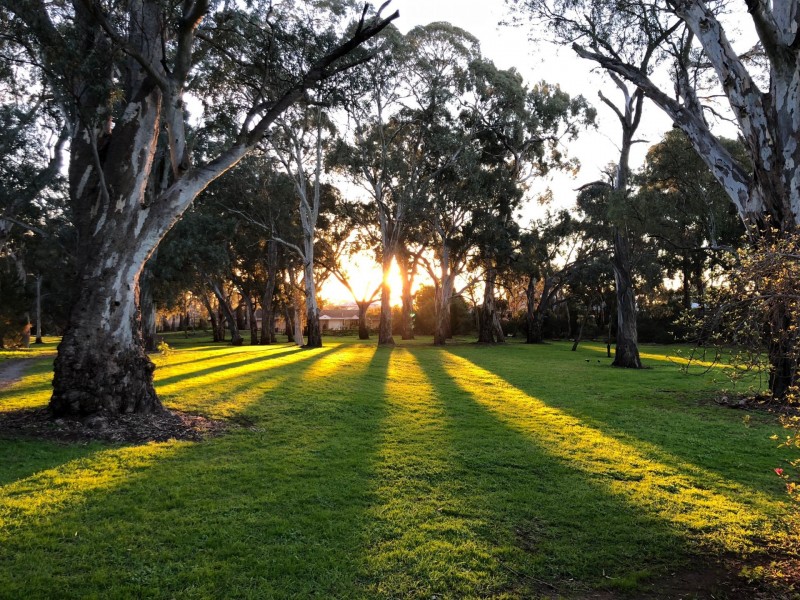 26 Fourth Street, Tranmere SA 5073