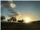 Ormiston QLD 4160