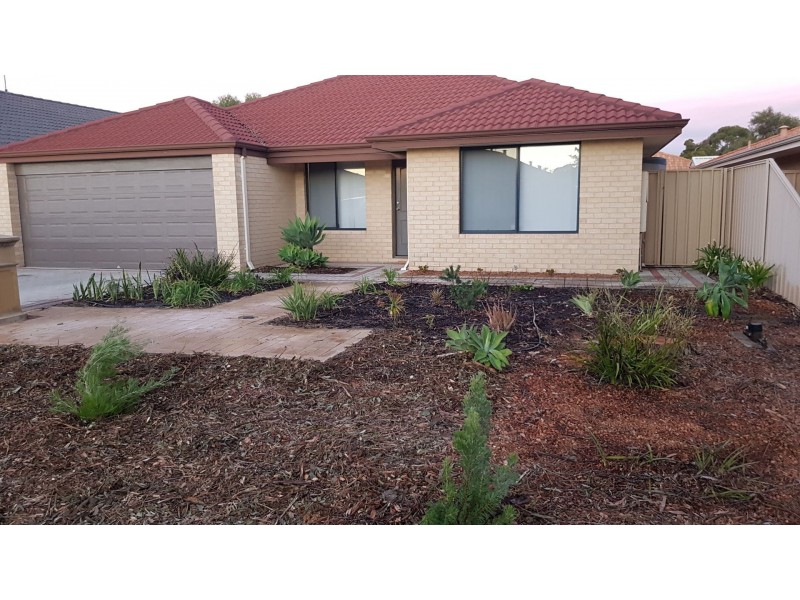 41 Greenacre Street, Pinjarra WA 6208