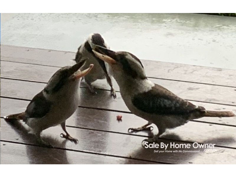 35 Peart Parade, Mount Cotton QLD 4165