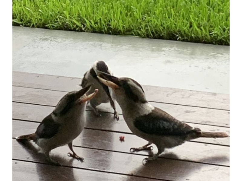 35 Peart Parade, Mount Cotton QLD 4165