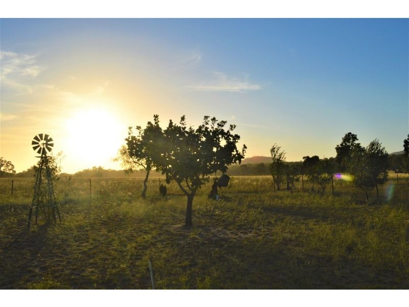 1291 spring creek road, Mudgee NSW 2850