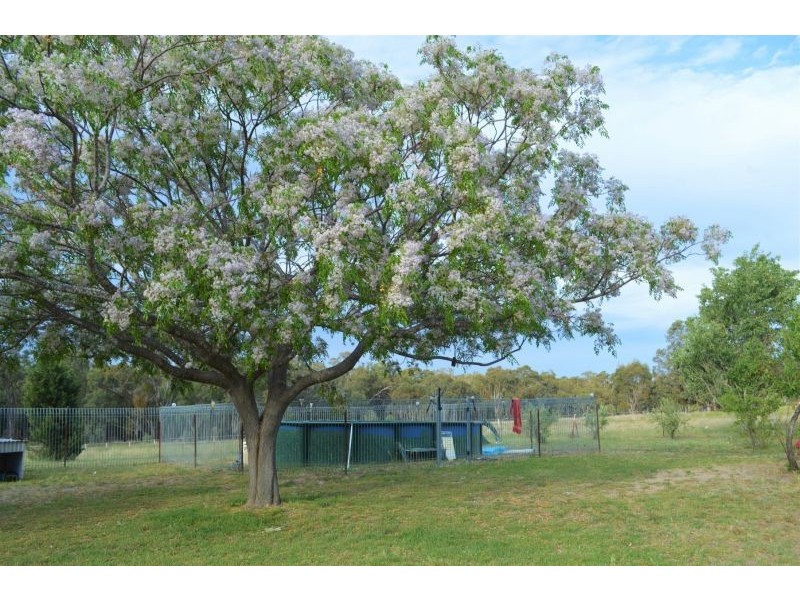 1291 spring creek road, Mudgee NSW 2850