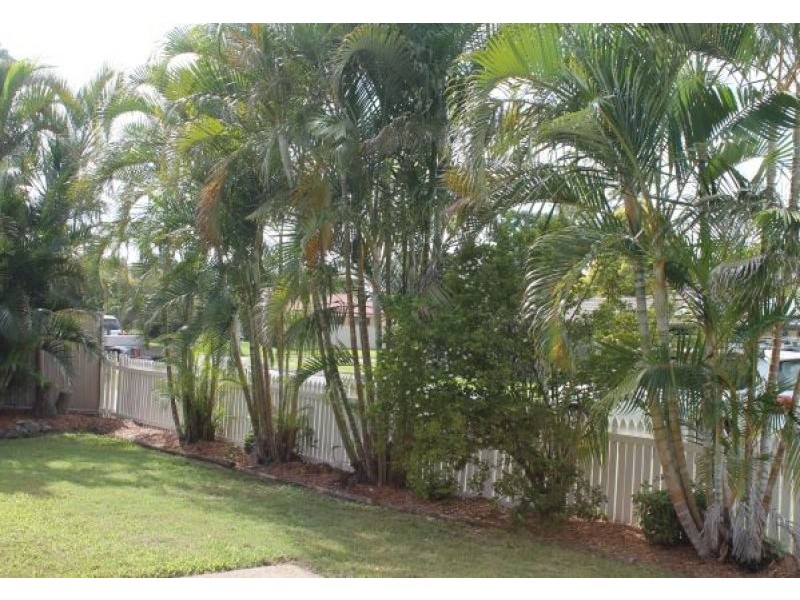 3 Mango Street, Runcorn QLD 4113