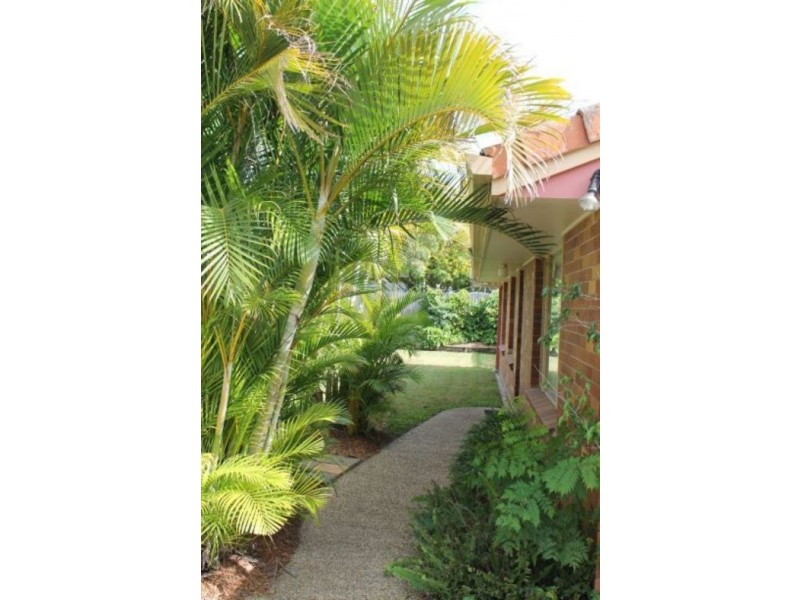 3 Mango Street, Runcorn QLD 4113