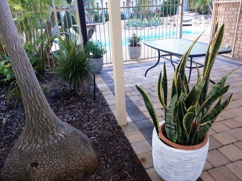 169 Twickenham Drive, Kingsley WA 6026