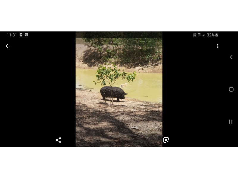 32 Bullcamp rd, Nanango QLD 4615