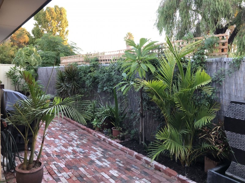 Bassendean WA 6054