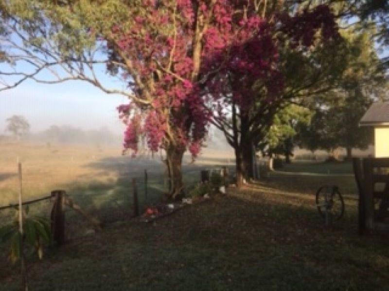 395 Blacksnake Road, Kilkivan QLD 4600