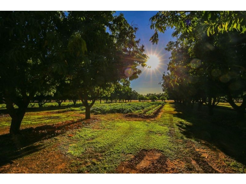 214 River Farm Road, Kununurra WA 6743