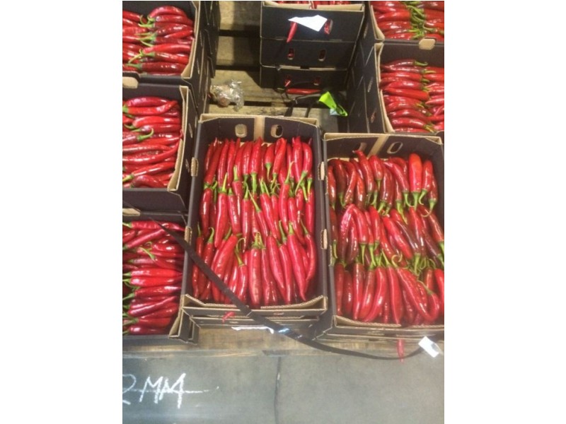 214 River Farm Road, Kununurra WA 6743