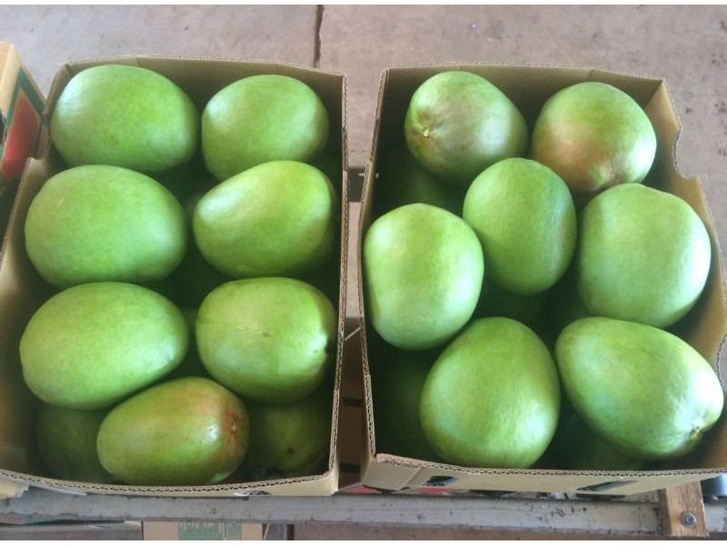 214 River Farm Road, Kununurra WA 6743