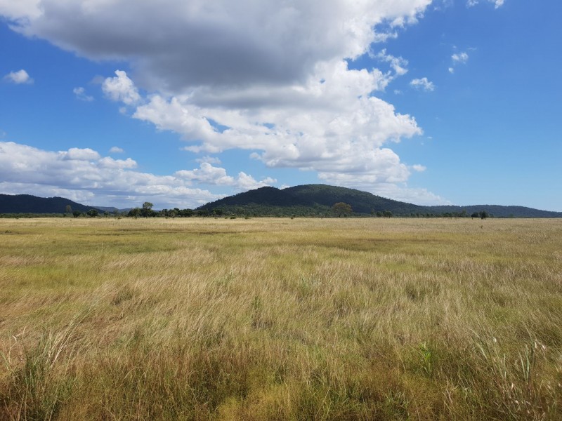 155 Crocodile creek rd, Cape Cleveland QLD 4810